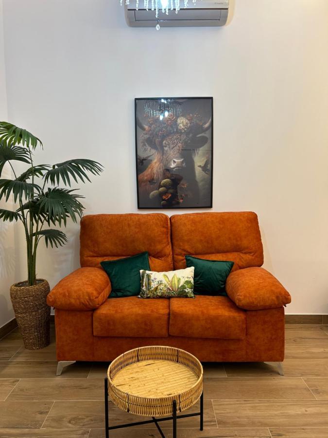 Apartamentos Casa El Gorras 코르도바 외부 사진